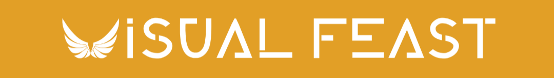 VISUAL FEAST LIMITED 